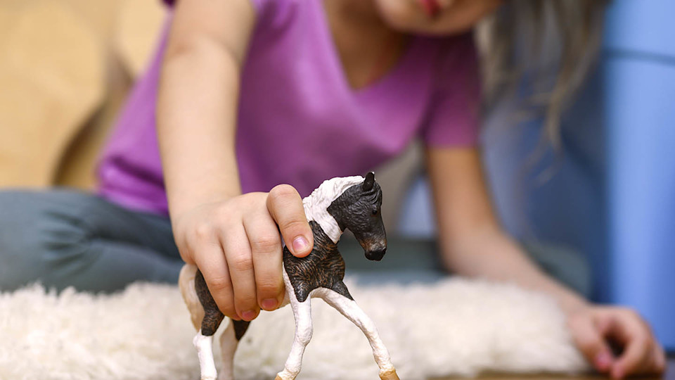 Newsroom Image - child playing with toy horse