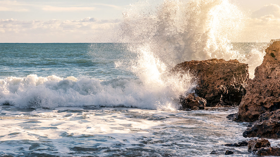 Newsroom - sea - cliffs - waves