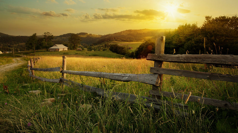 Open idyllic farm field with wooden fencing and sun
